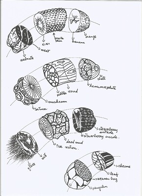 dissections-1