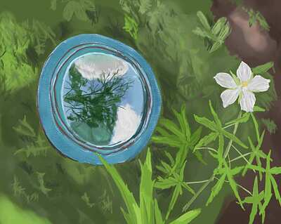 birdbath-hibiscus-0252_crop