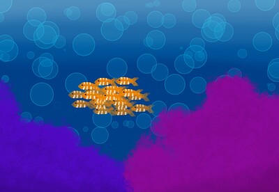 tropical fish