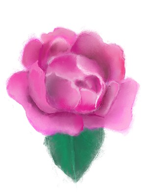 flower-1.5.2024