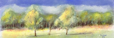 landscape1