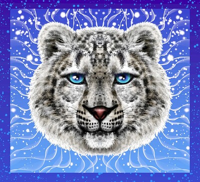 Facing the Snow Leopard