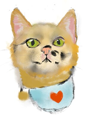 cat sketch---22.04.2024