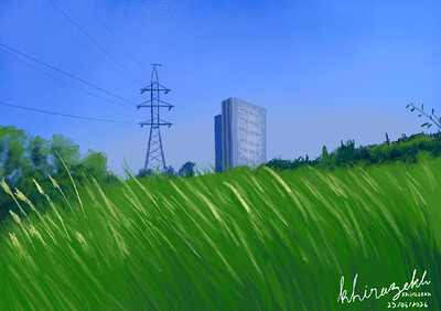 photo study (with long grass)