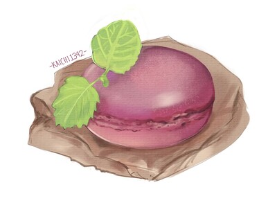 Macaron1
