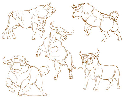 Gesture drawing of bulls