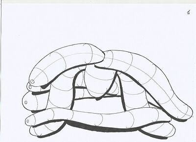 organic-intesections1