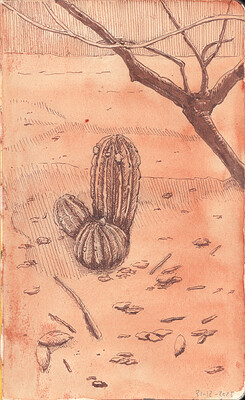 Sketchbook tour_0013