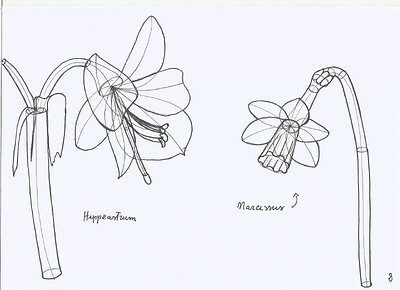 plant-construction-8
