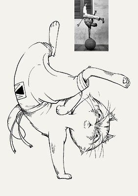 CatFighter07-Capoeira