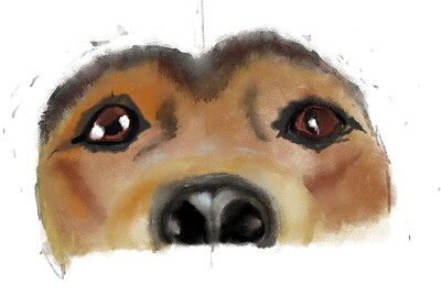 dog-attm1-13.04.2024