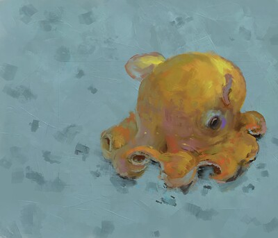 octo