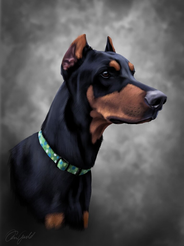 Portrait of Doberman Pinscher - Finished Artworks - Krita Artists