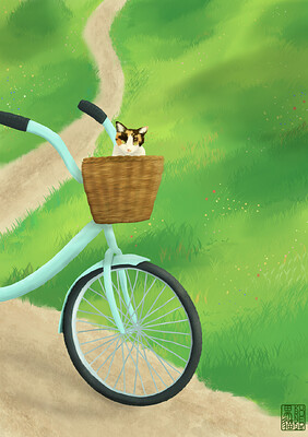 Bike Trip