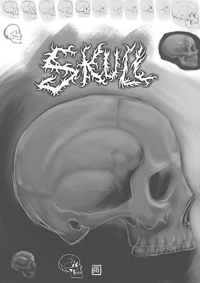 Skull sketch