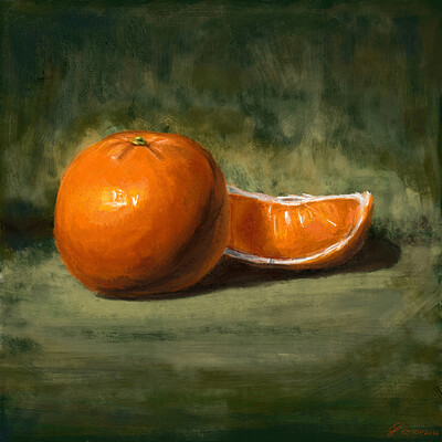 Projekt zwykły 1 - Mandarynka - 09-01-2026