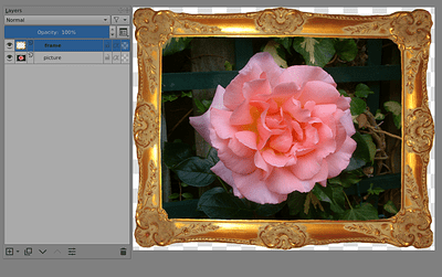 framed rose