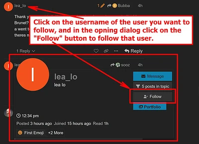 Follow a user
