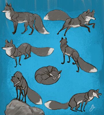 fox gestures jpg