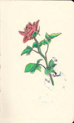 Sketchbook tour_0006