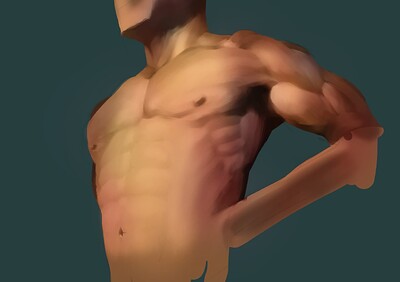 chest 2a
