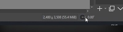 1000063629