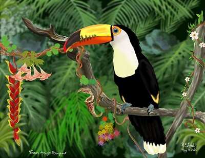 Toucan_on_Branch_V2_05142025_1218