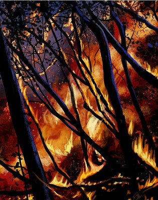 Fireworks and Sticks