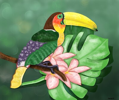 Ramphastos fructus bokeh