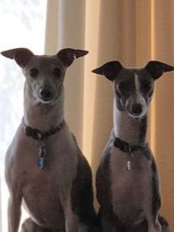 448231356_1137851177438358_3110622989642455385_n