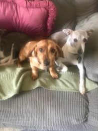 445815521_3623990234519669_1933594296625149556_n