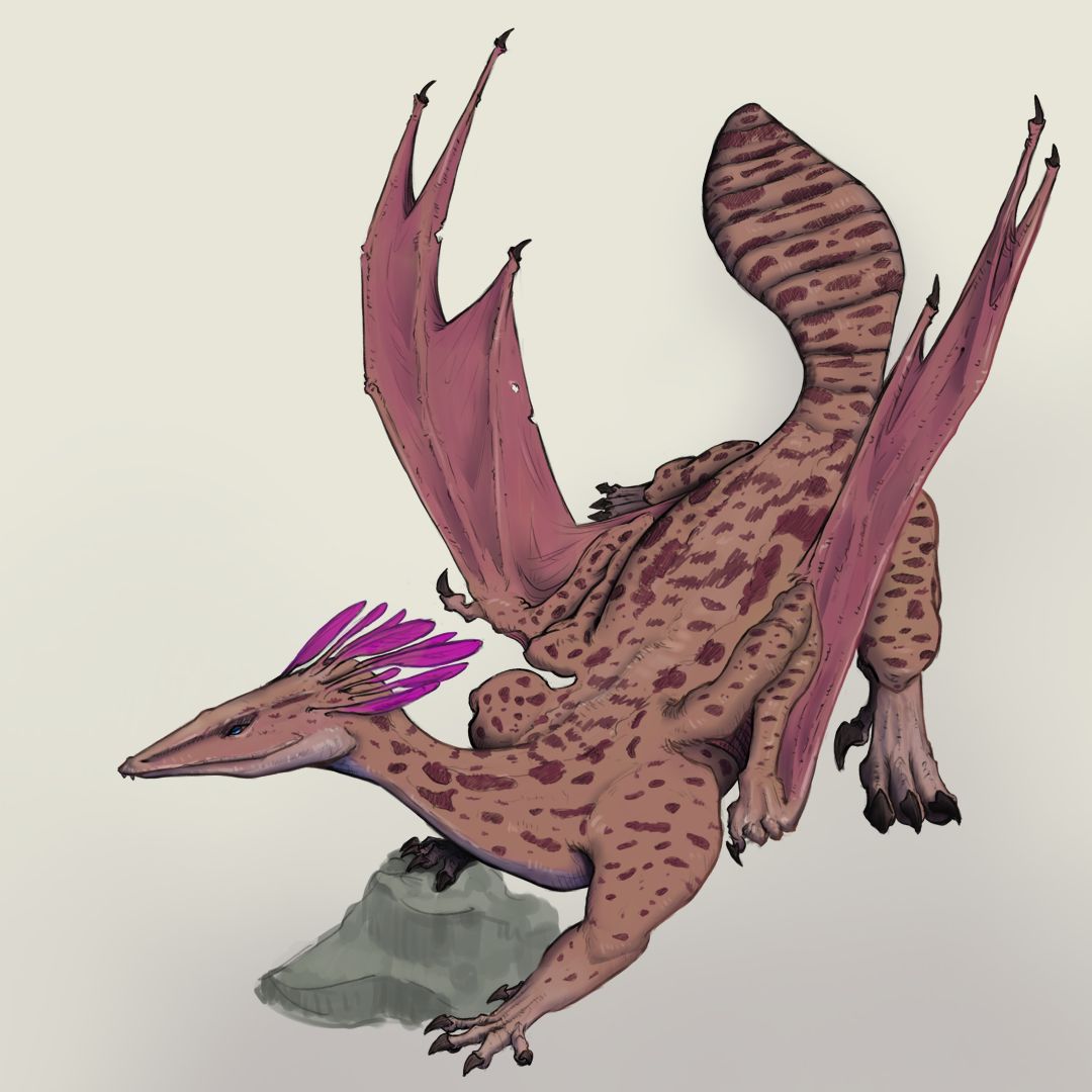 Dragon concept Mako Finished Artworks Krita Artists