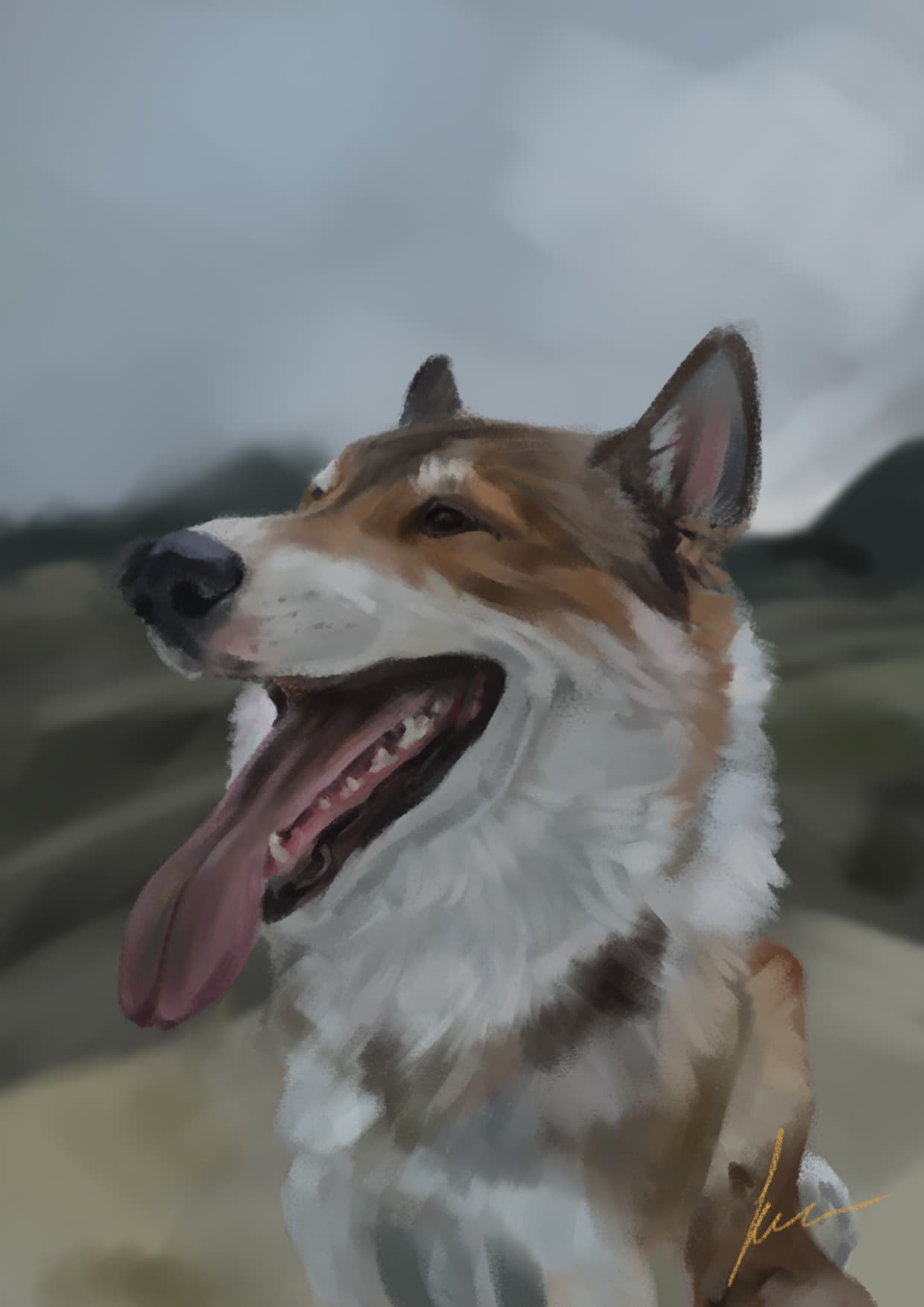 Dogs studies - sketchbook - Krita Artists