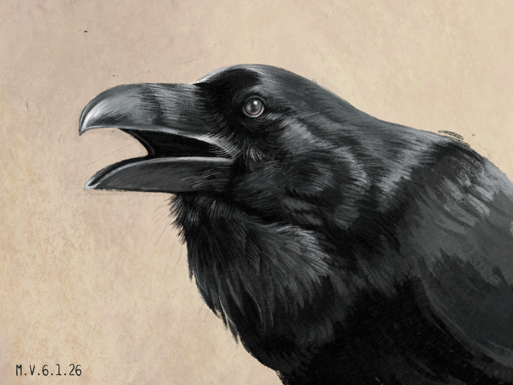 Raven portrait - Finished Artworks - Krita Artists
