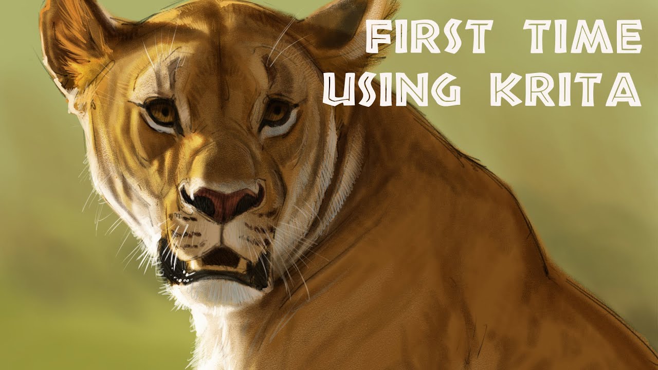 Using Krita For The First Time