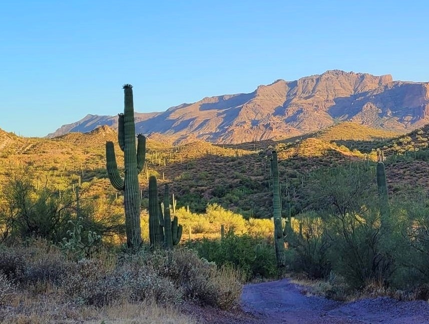 Superstition Mountains - Finished Artworks - Krita Artists