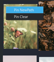 pin_context