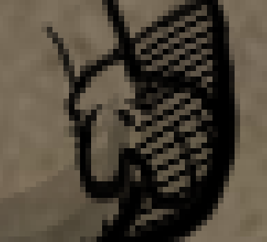 image_2020-12-04_084636