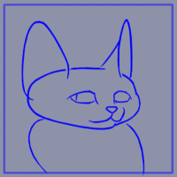 Cat_005