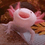 Anthea