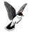 kingbird