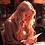 laiba_mushtaq