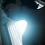 luis_gfm
