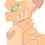 SoftWhisper