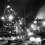 Squa_81